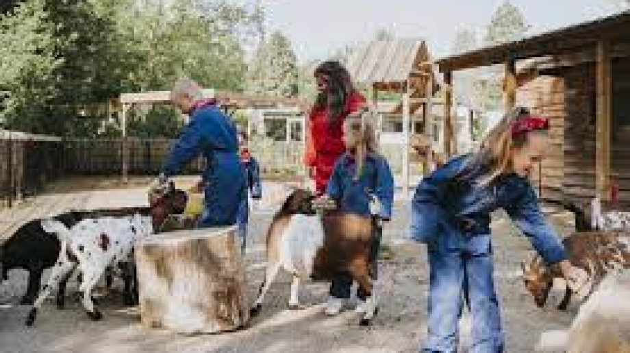 Vakantiepark Dierenbos Vinkel afbeelding 4